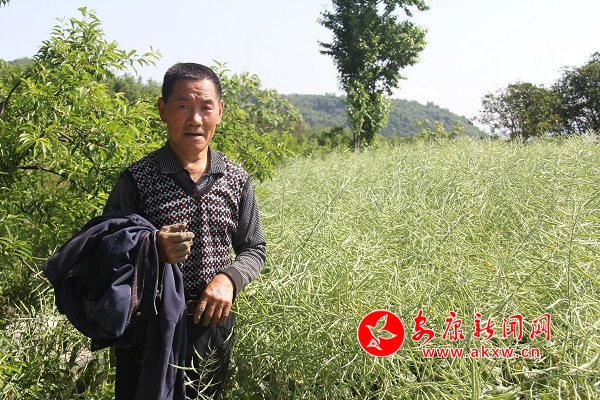 67qďFeͲfȥµ600߀uԼ̓̤